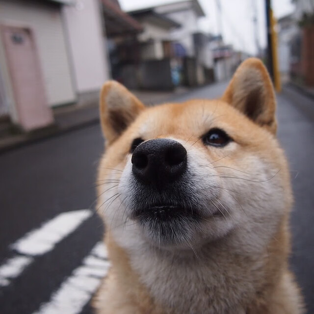 国家级青少年篮球赛事助推各地基层体育文化繁荣，2021年全国青少年篮球竞赛计划