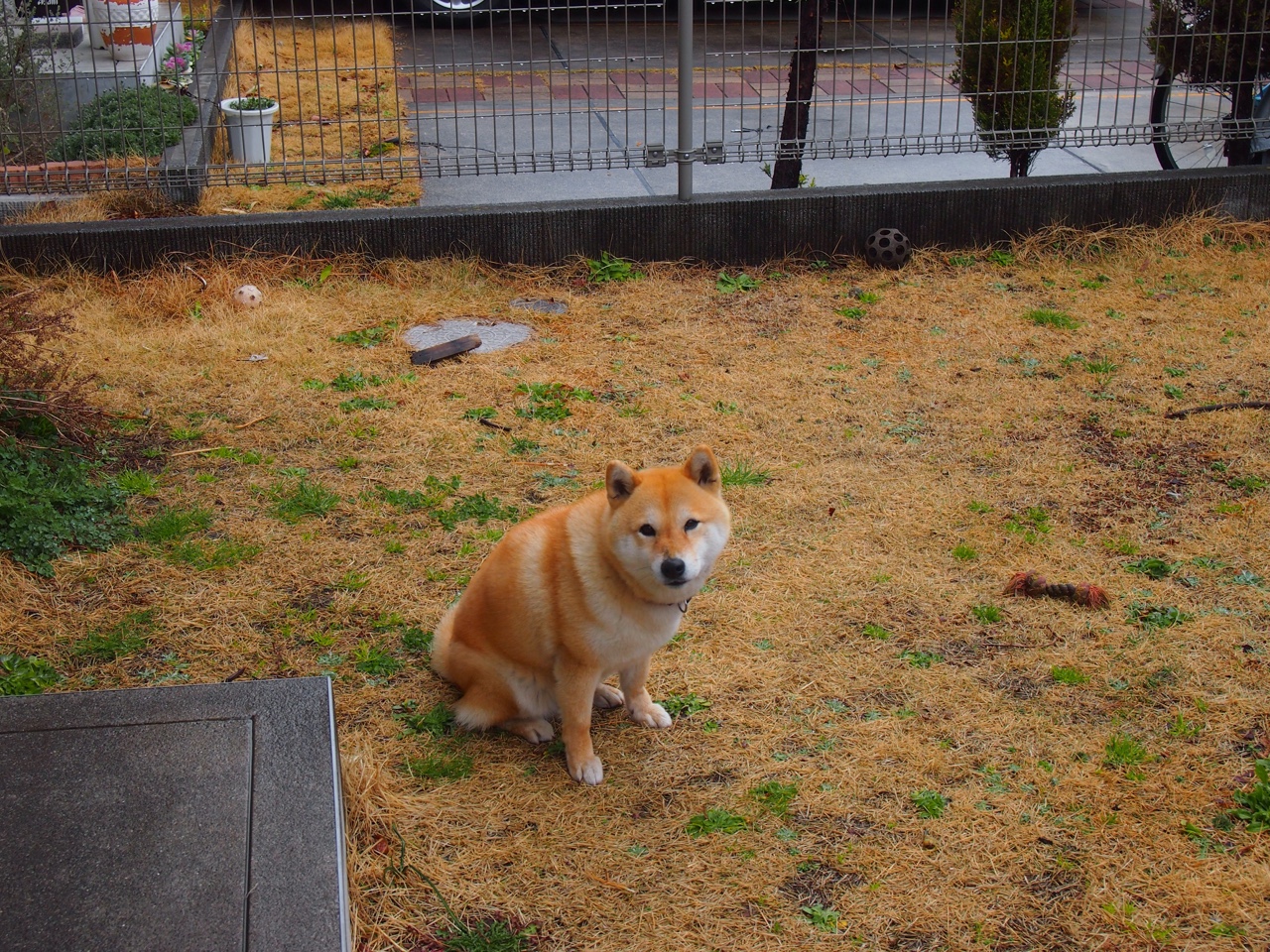 “西甲明星连续发威,带领队伍稳步前行”,西甲有谁