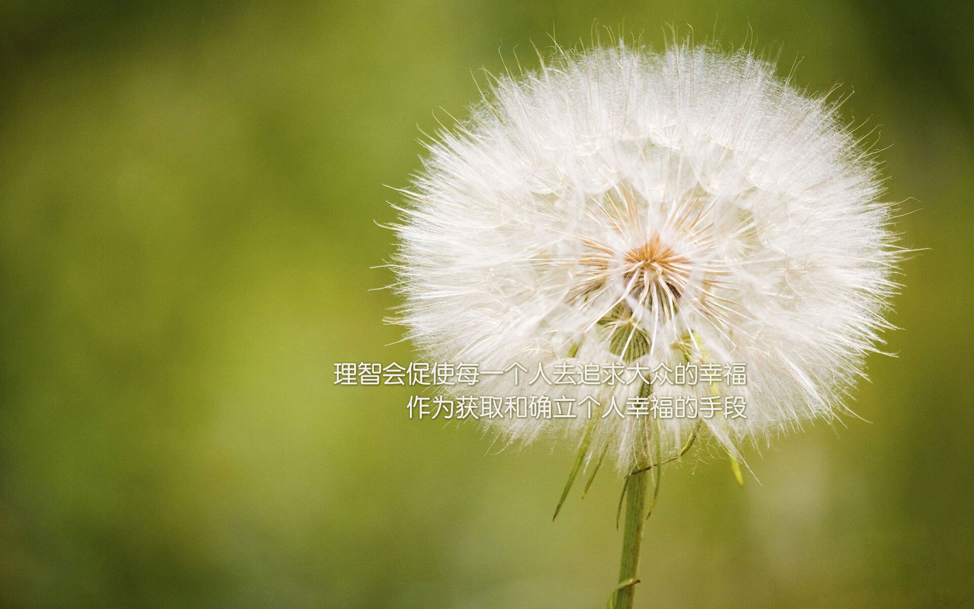 【比赛策略】运动员如何根据战局动态调整攻防布局？，如何使运动员的参赛角色达到合理定位