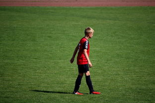 九游app官网下载-未来足球场馆将融合智能照明和环境监测系统，绿色科技引领行业